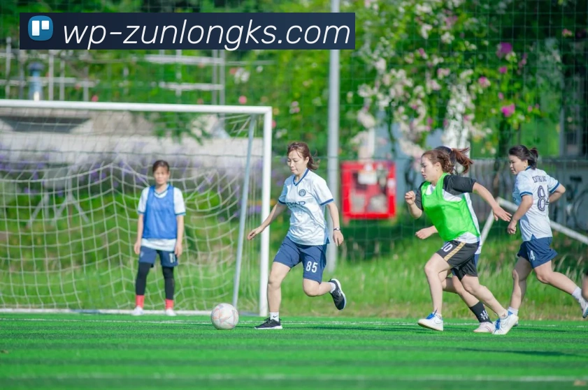 尊龙凯时官网平台生态图