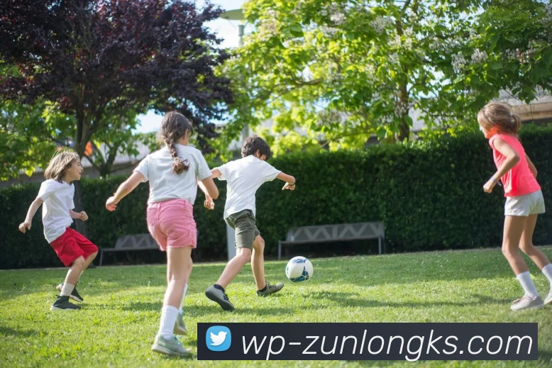 尊龙凯时官网全站App