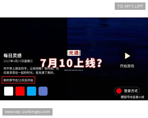 国际服游戏游客登录体验分析及潜在影响探讨